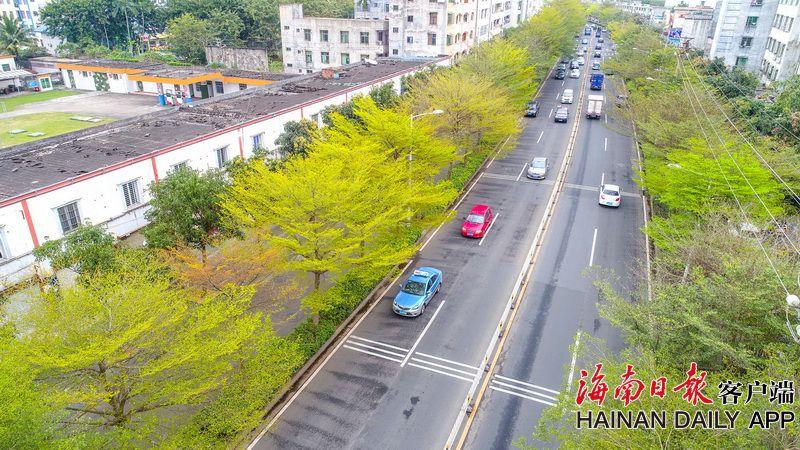 老家河南·浚縣新年丨穿越古今，沉溺式體會首個非遺版新年的年味兒！