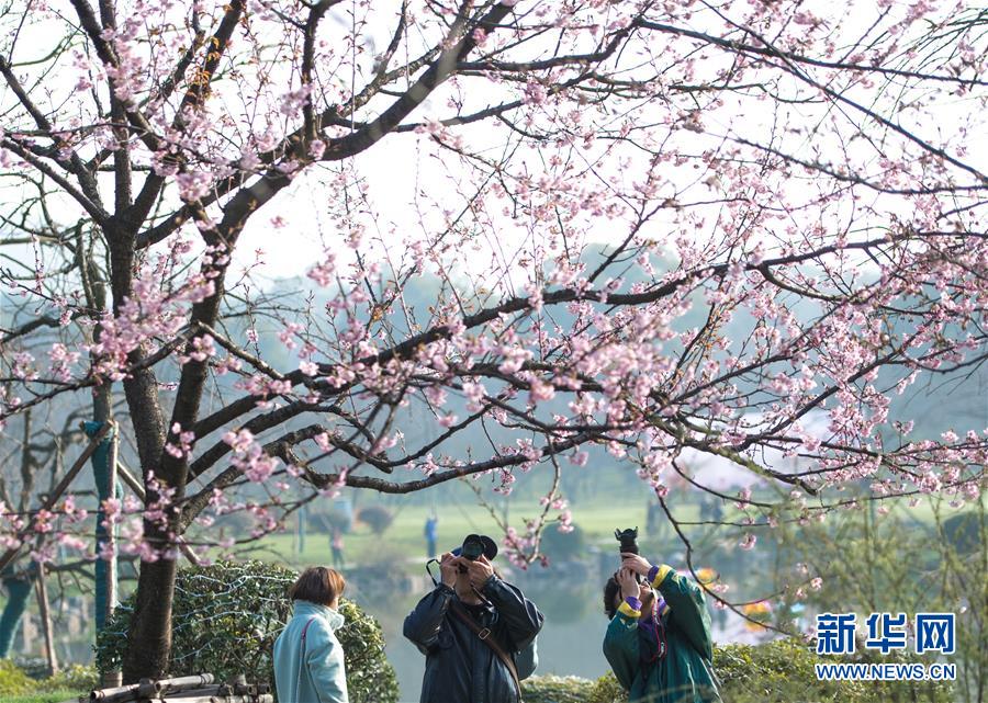 【亞洲系列】實(shí)探北京新年古裝拍攝商場(chǎng)：“格格”成群熱度不減｜新春走底層