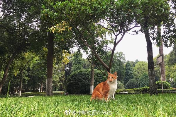 【亞洲夜夜操】廣西大藤峽船閘完結通航以來最長檢修 提早2天康復通航